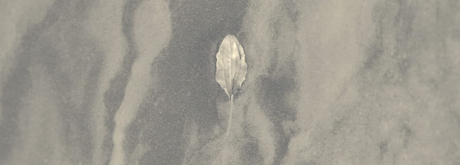 About Stacked Rift feature image